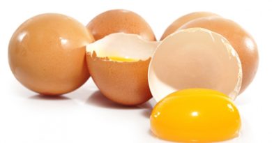 Cara Membedakan Telur Ayam Sakit Dan Ayam Sehat