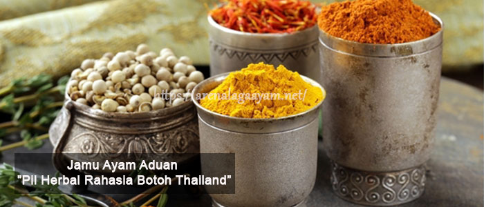 Pil Herbal Jamu Ayam Aduan Tradisional Rahasia Botoh Thailand