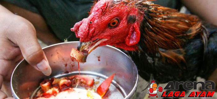 Racikan Jamu Stamina Ayam Bangkok