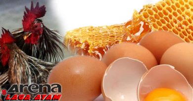 Manfaat Madu dan Telur